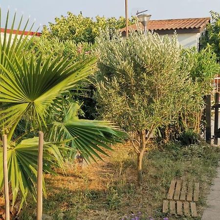 Chalet En Bois "Le Libellule" Sigean Zewnętrze zdjęcie