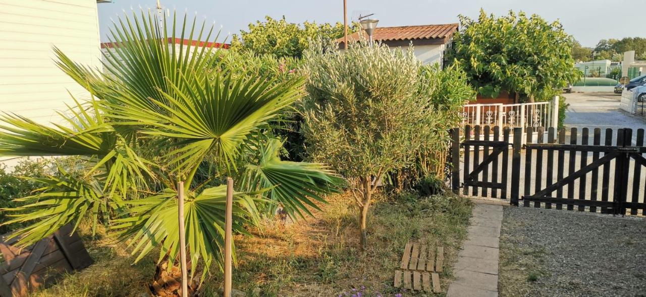 Chalet En Bois "Le Libellule" Sigean Zewnętrze zdjęcie